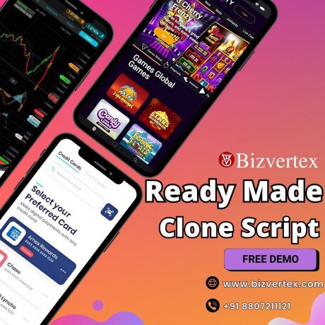 key-features-of-ready-made-clone-scripts-for-aspiring-developers-big-0