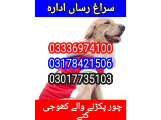 Army dog center hyderabad 03017735103