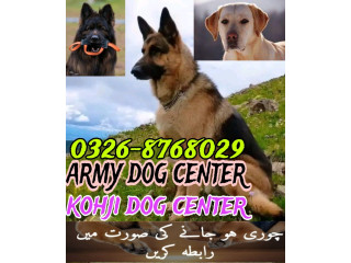 Army dog center hyderabad 03003787282