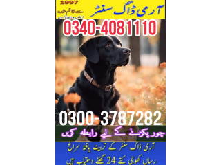 Army dog center Hyderabad 0349-1997297