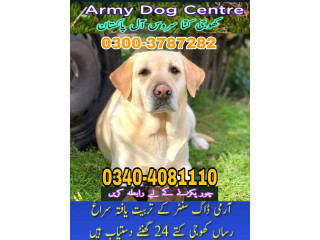 Army dog center mirpur khas 03268768029