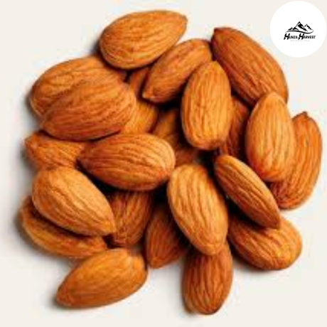 premium-organic-almond-kernels-from-hunza-big-0