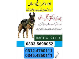 Army Dog Center Sukkur 03124760111