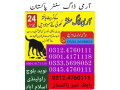 army-dog-center-larkana-3124760111-small-0