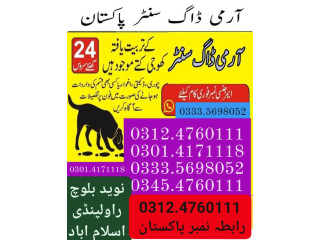 Army Dog Center Larkana 3124760111