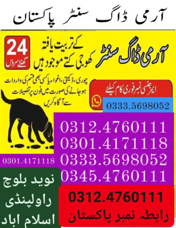 army-dog-center-larkana-3124760111-big-0