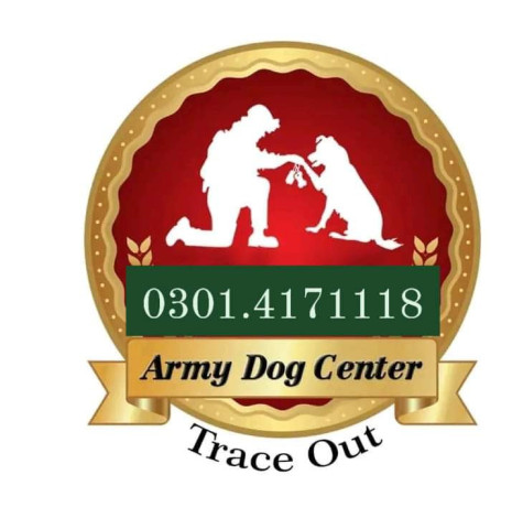 army-dog-center-karachi-03124760111-big-0