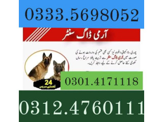 Army Dog Center Hyderabad 03124760111