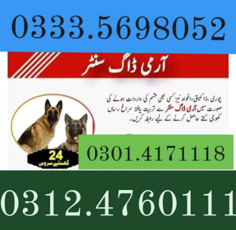 army-dog-center-hyderabad-03124760111-big-0