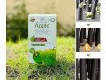apple-hair-color-price-in-rahim-yar-khan-small-0